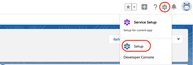 sfdc_setup.png